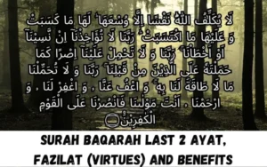 surah Baqarah last 2 ayat