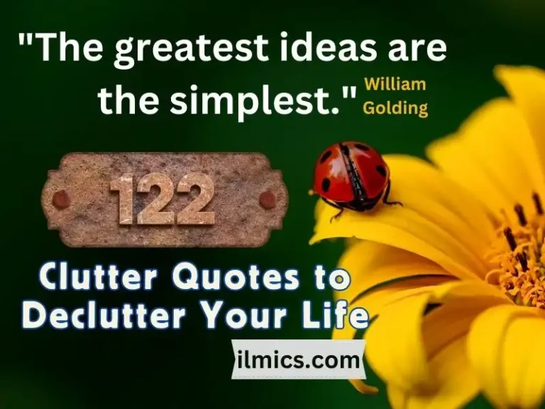 Quote-Unquote Chaos: 122 Amazing Clutter Quotes to Declutter Your Life