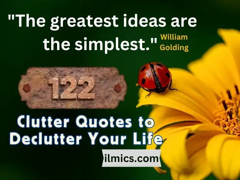 https://ilmics.com/wp-content/uploads/2023/09/Clutter-Quotes-ilmics.com-1.webp
