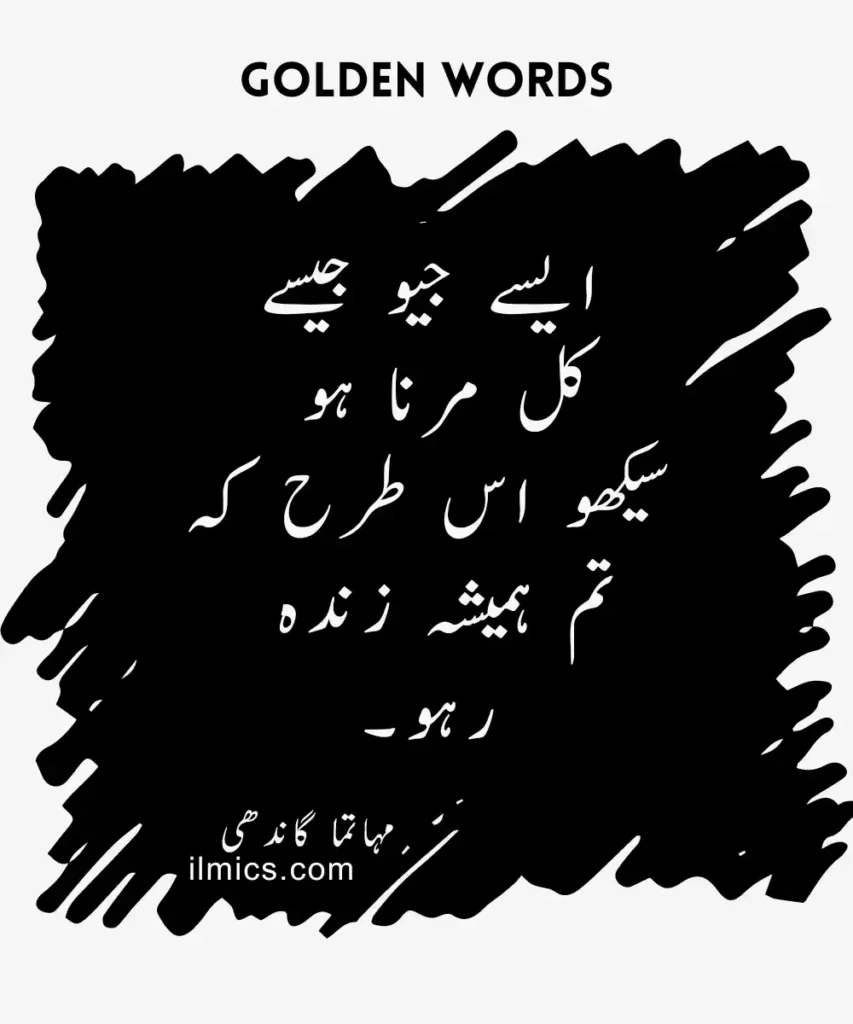 Golden Words and Inspirational Quotes  in Urdu, English, and Hindi about learning and  education