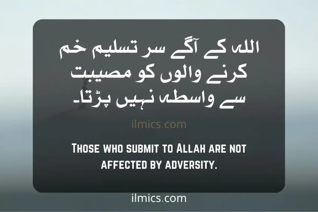 Those who submit to Allah are not affected by adversity. islamic quotes wallpaper motivational Islamic Quotes in Urdu