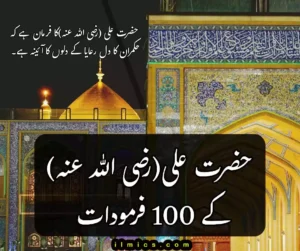 Hazrat ALi quotes in Urdu/hindi