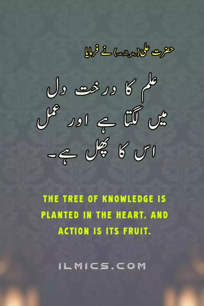 Hazrat Ali quotes about knowledge