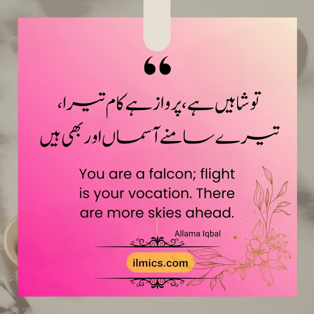 urdu quotations 8